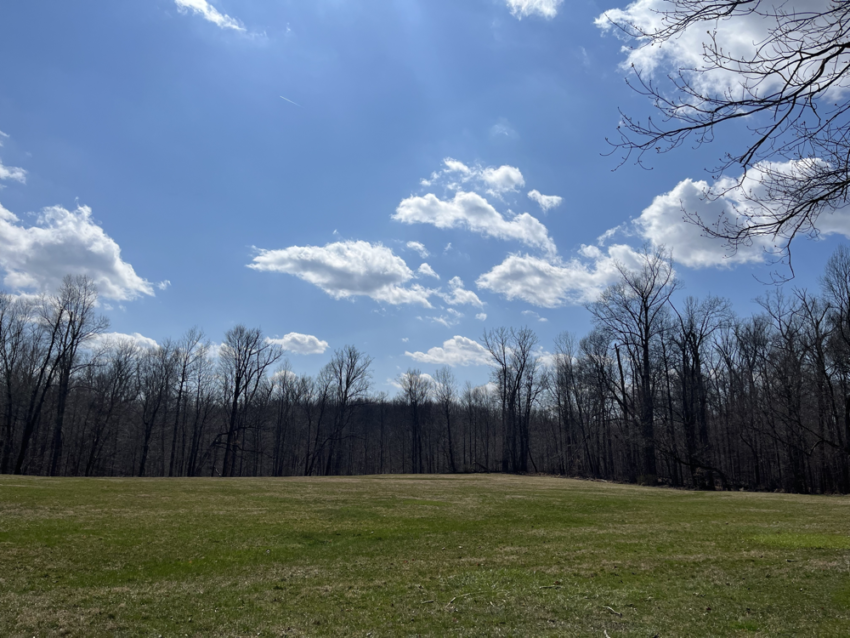 Trees and Blue Skies at Cuyahoga Valley National Park