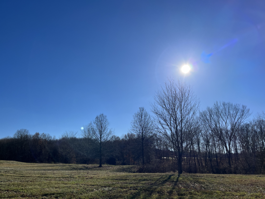 The sun in a blue sky with some trees at West Branch State Park.
