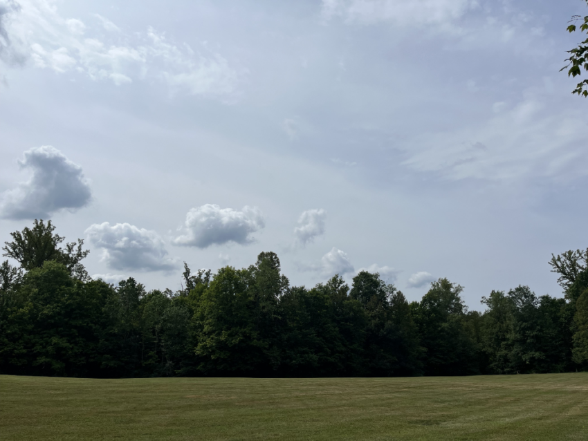 Mostly clear skies over trees ringing a large grassy field.