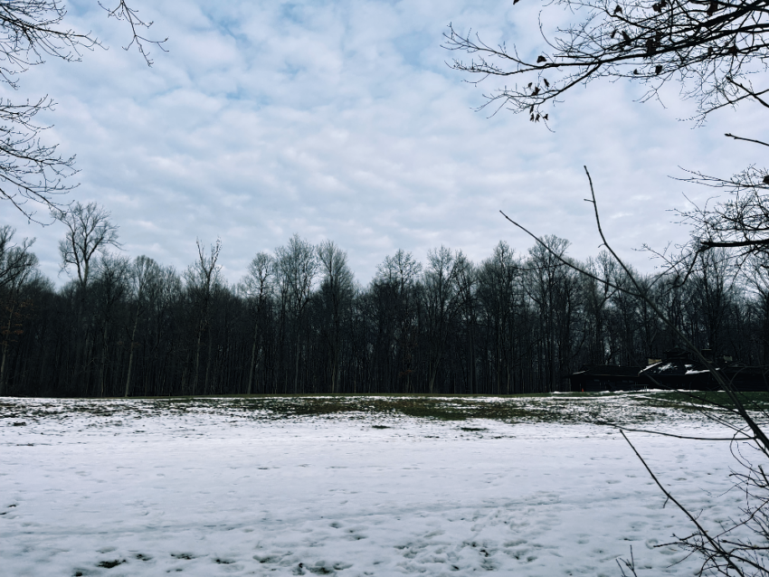 A snowy field ringed with leafless trees under a blue sky containing scattered, light clouds.